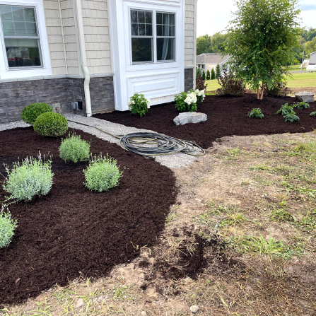 landscaping-1