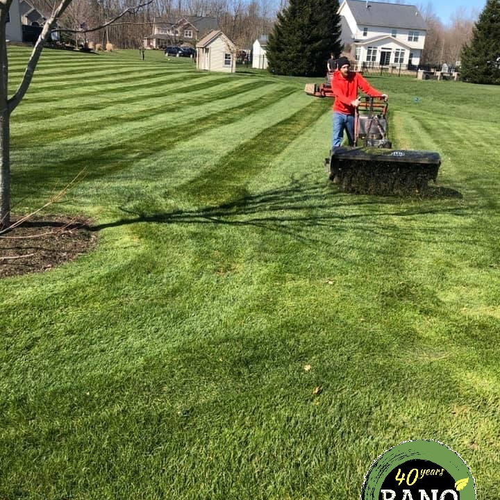 lawn care installing lawn